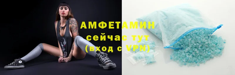 купить наркоту  мега как войти  Amphetamine Розовый  Каргополь 